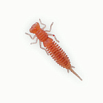 Мягкая приманка Fanatik Larva 4.5 цвет 017 - фото 1