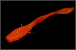 Мягкая приманка MICROKILLER Ленточник 56мм Морковный - фото 1